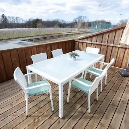 Rose Im Gemütlichen Benedikt Friedrichshafen